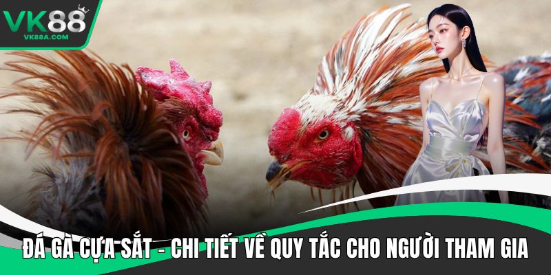 Đá gà cựa sắt