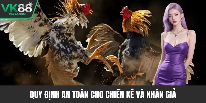 Quy định an toàn cho chiến kê và khán giả
